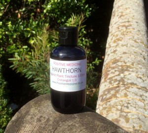 Hawthorn Tincture